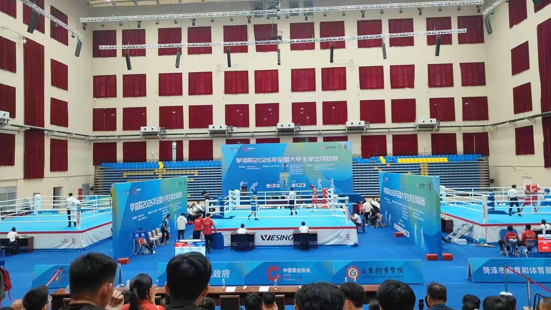 edccc71f5f3d4e8fb0ff4b978e784aa8.jpg
